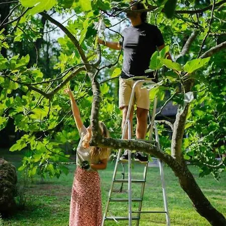 Nel Bosco Con Piscina Villa *