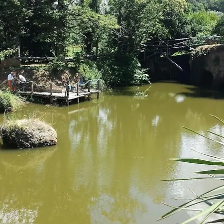 Villa Nel Bosco Con Piscina *
