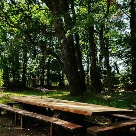 Nel Bosco Con Piscina Villa *